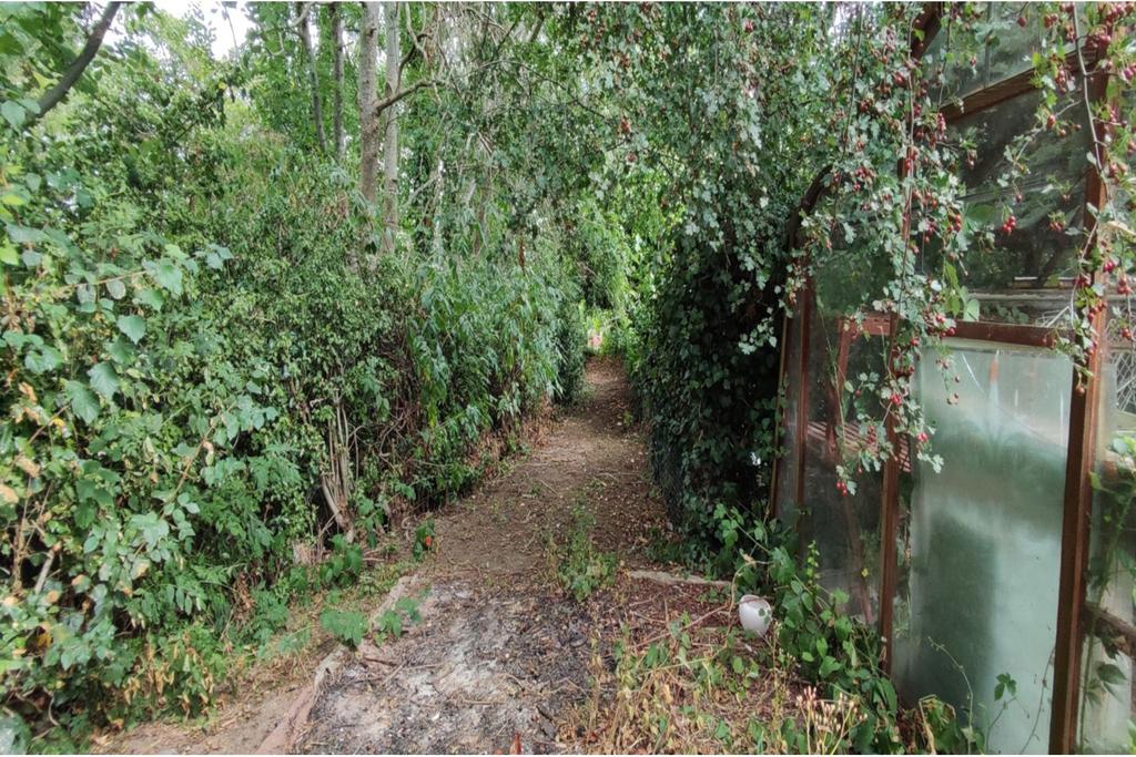 Annexe Garden