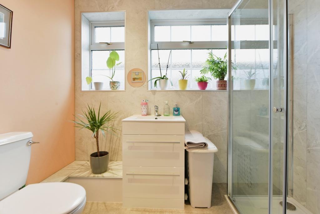 Downstairs Shower