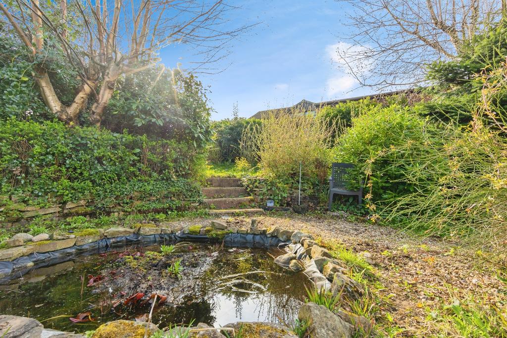 Lilly Pond