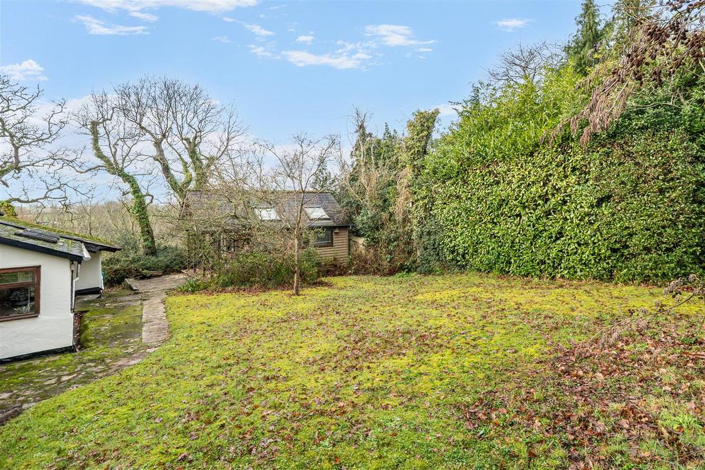 Back garden