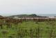 Claddach, Isle of Islay, PA47