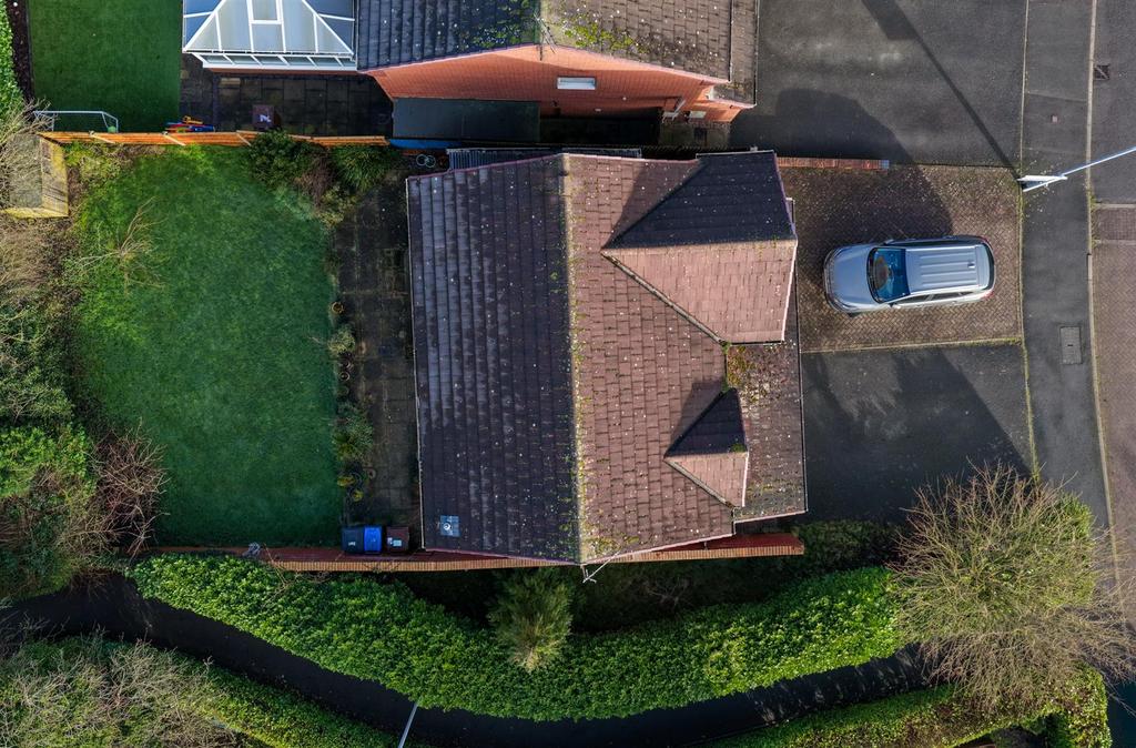DJI 20260128111727 0097 D.jpg