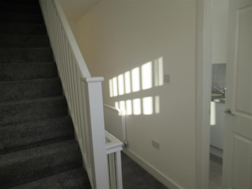 Img 1590.jpg
