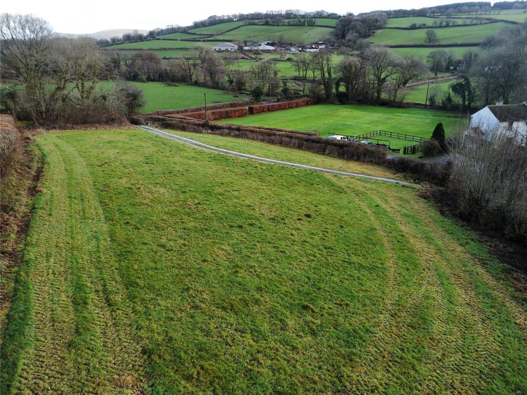 Field