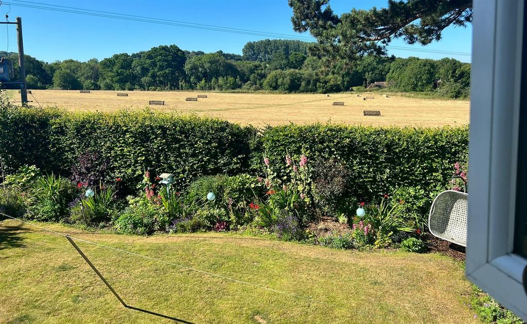 Garden - Summer