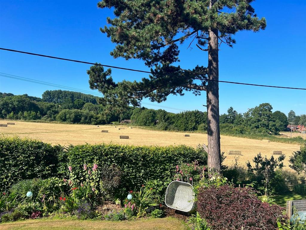 Summer Garden Image