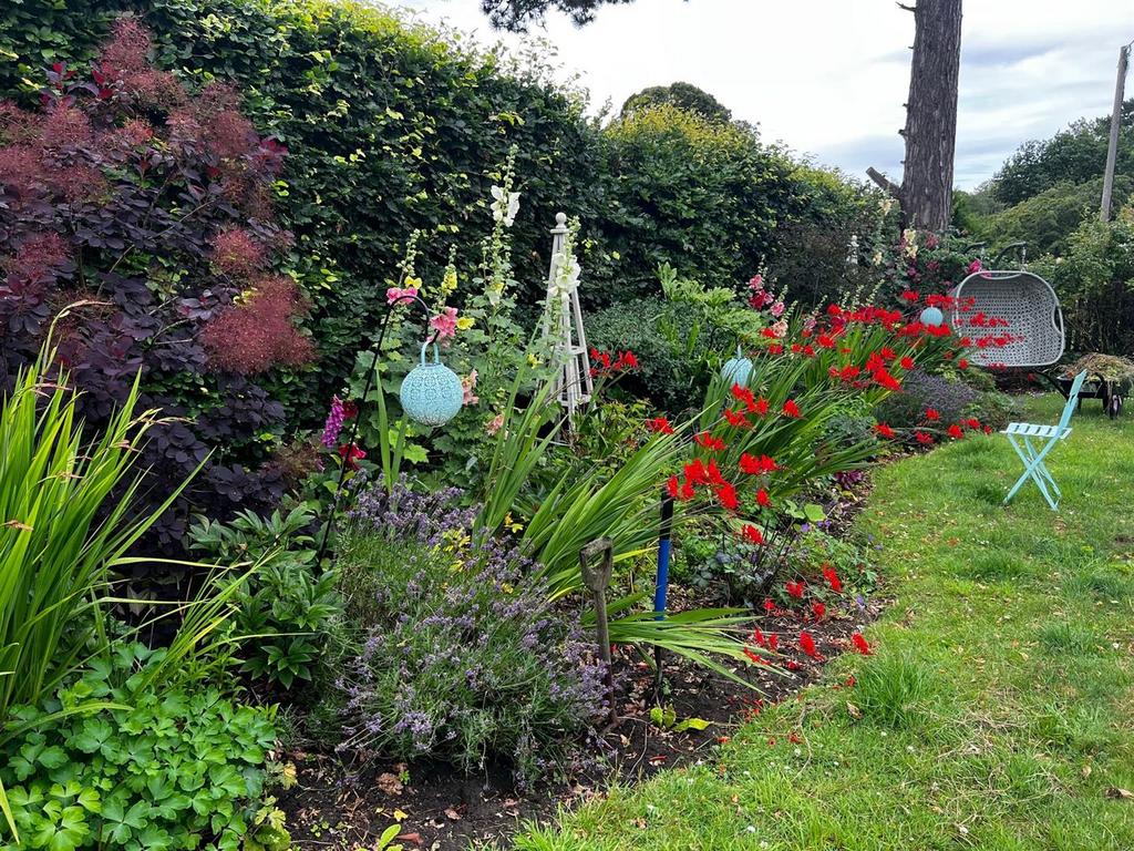 Garden - Summer