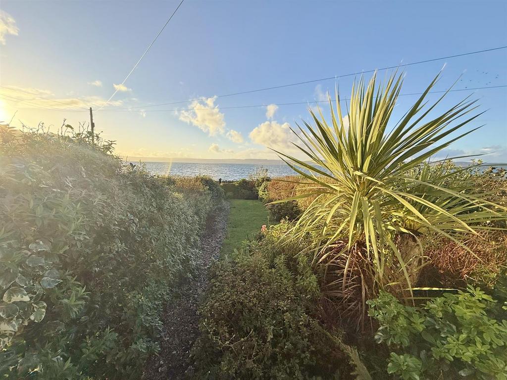 Front garden view