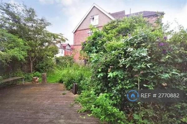 Back Garden