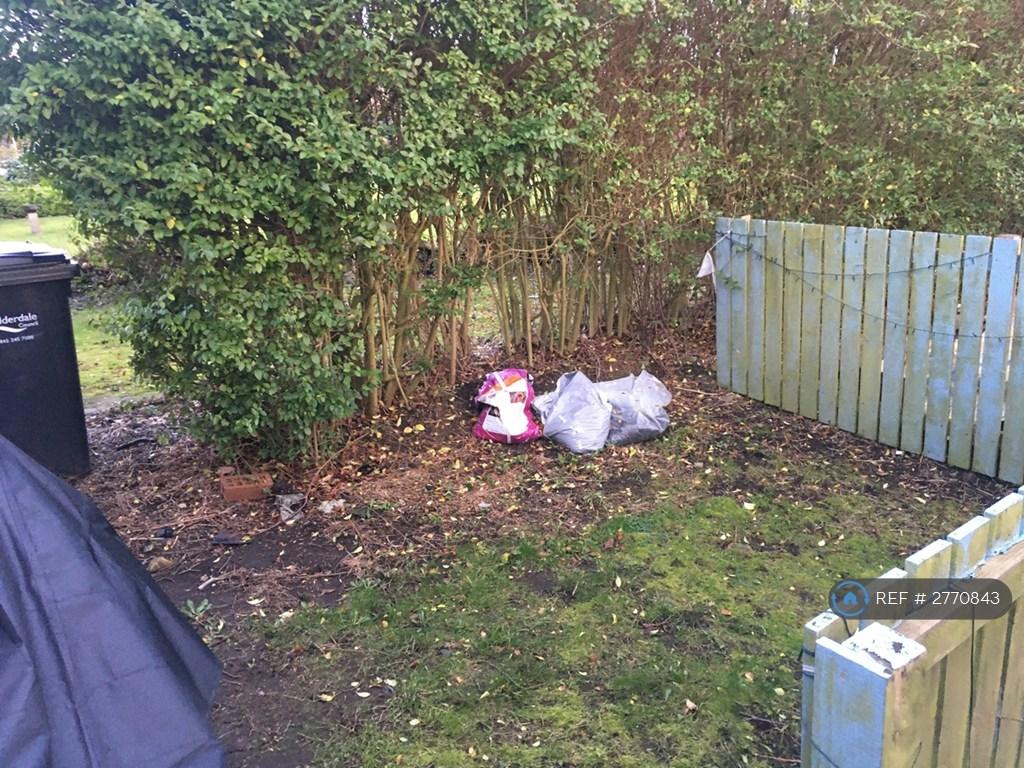 Grassed Area 2026