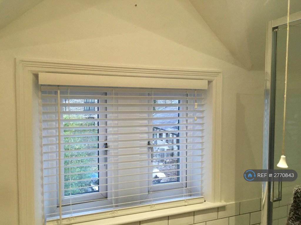 Bathroom Window