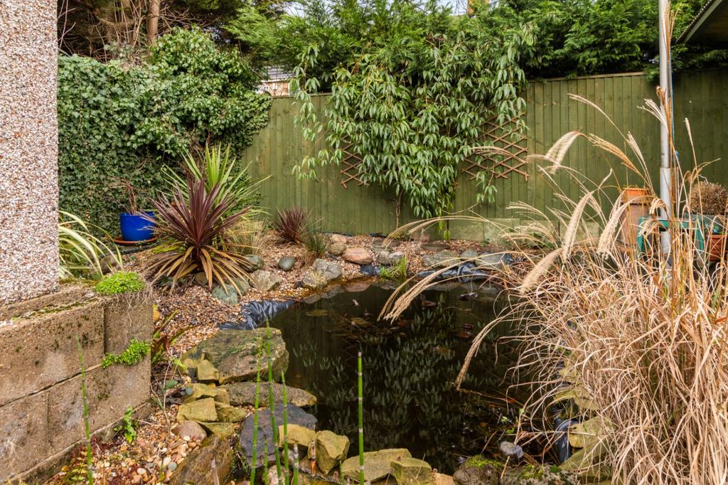 Pond