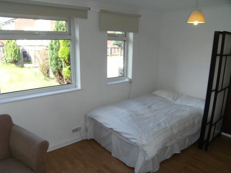 Living Room/Bedroom