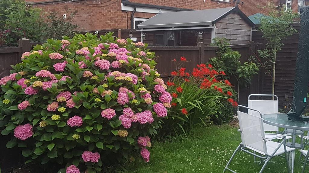 Garden view, garden