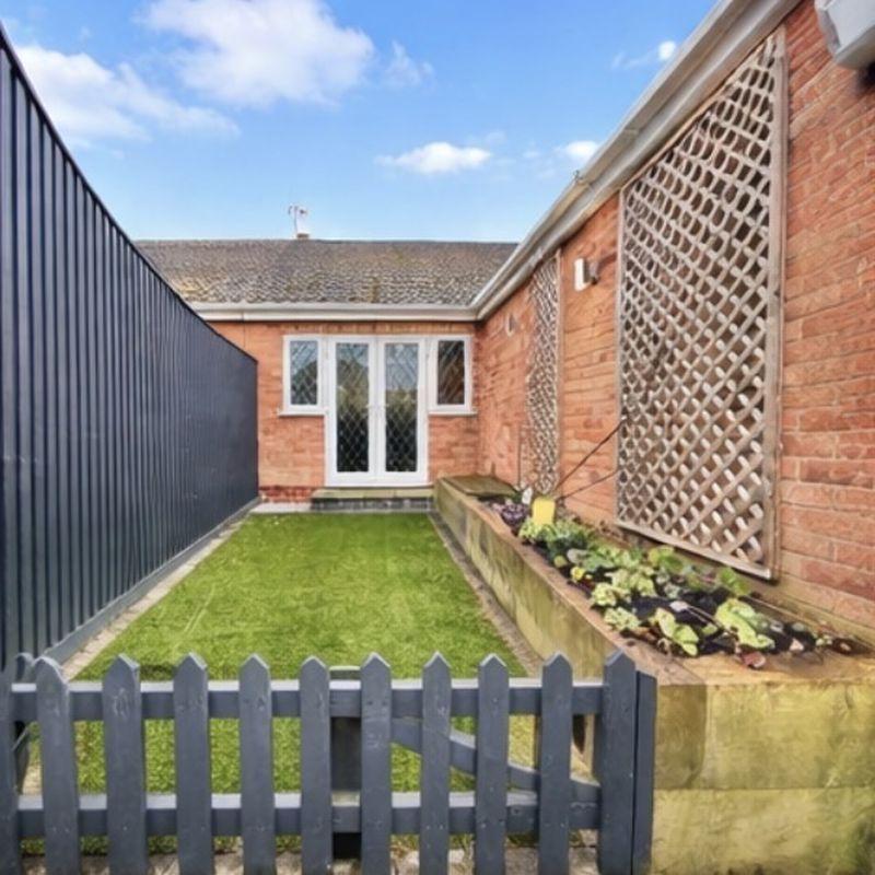 Rear Astro turf area