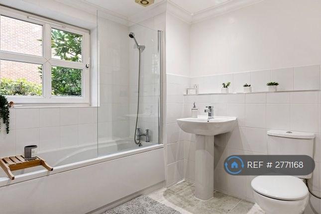 Large Bathroom