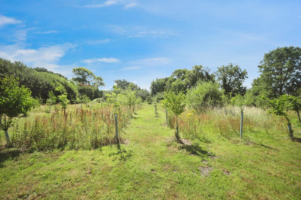 Field
