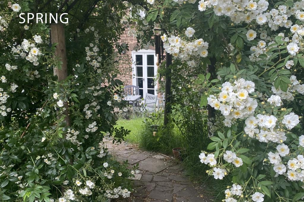 Cottage Garden
