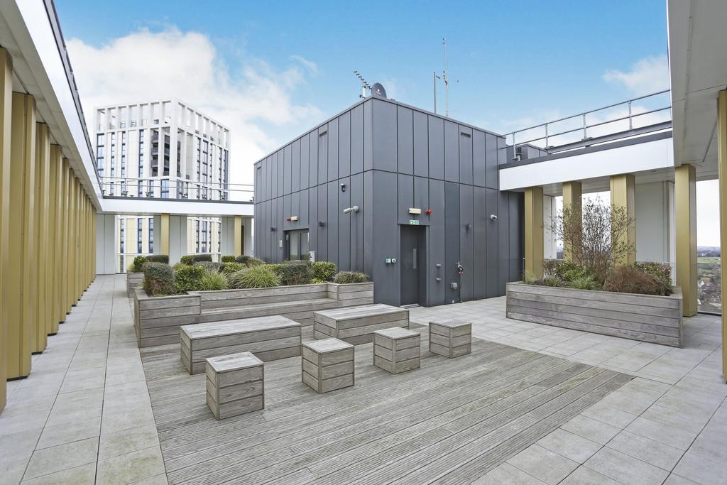 Roof Top Terrace