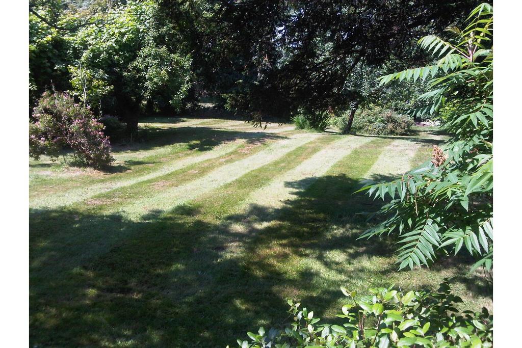 Front garden