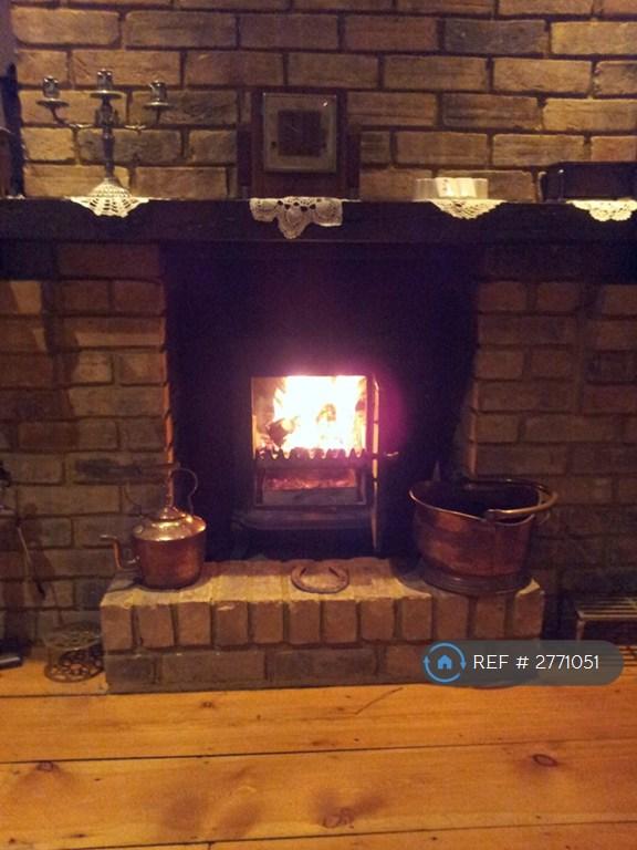 Wood Burning Stove