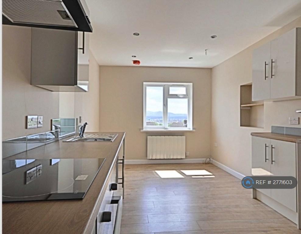 Lounge / Kitchen