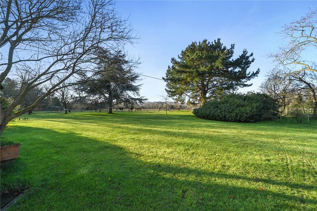 Grounds