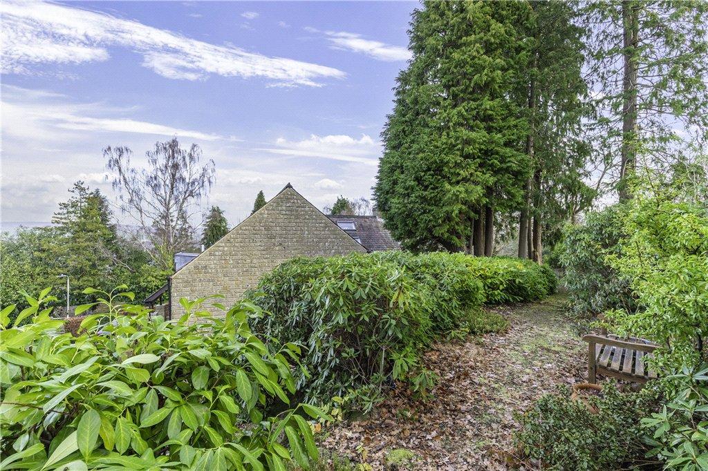 Woodland Garden