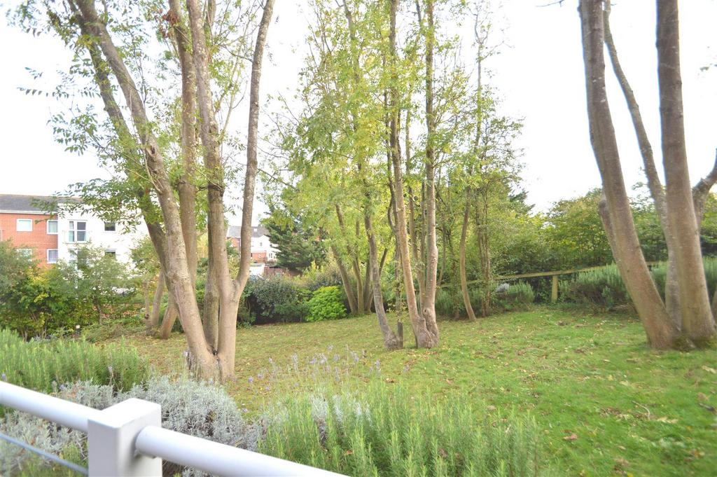 Communal Garden