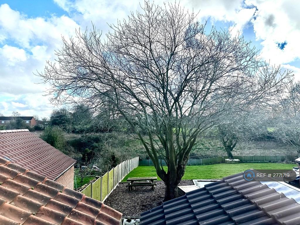 View From Back Window