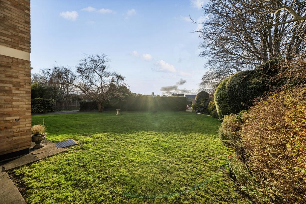 Communal Garden