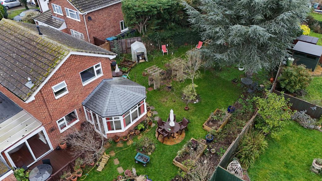 Dji 20260119135453 0179 d.jpg