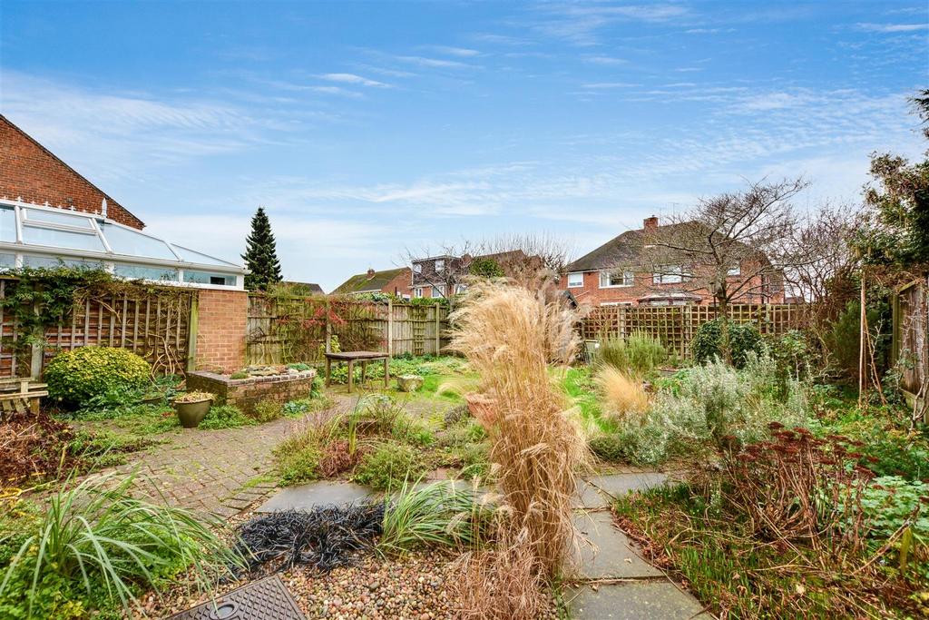 Garden 1.jpeg