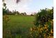 Additional image 19 of Strathwhillan Road, Isle of Arran, KA27