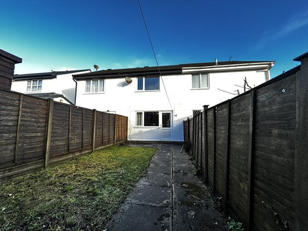 Back garden