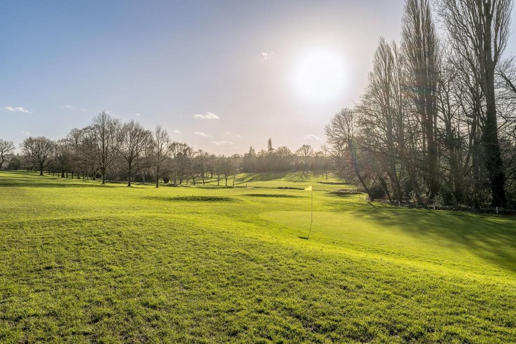 Golf Course Views 2