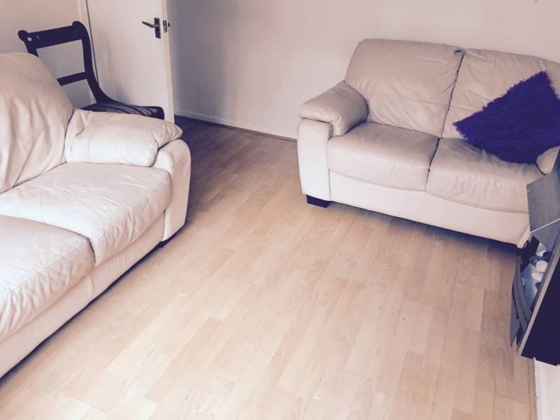 Bright living room with light wood flooring, tw...