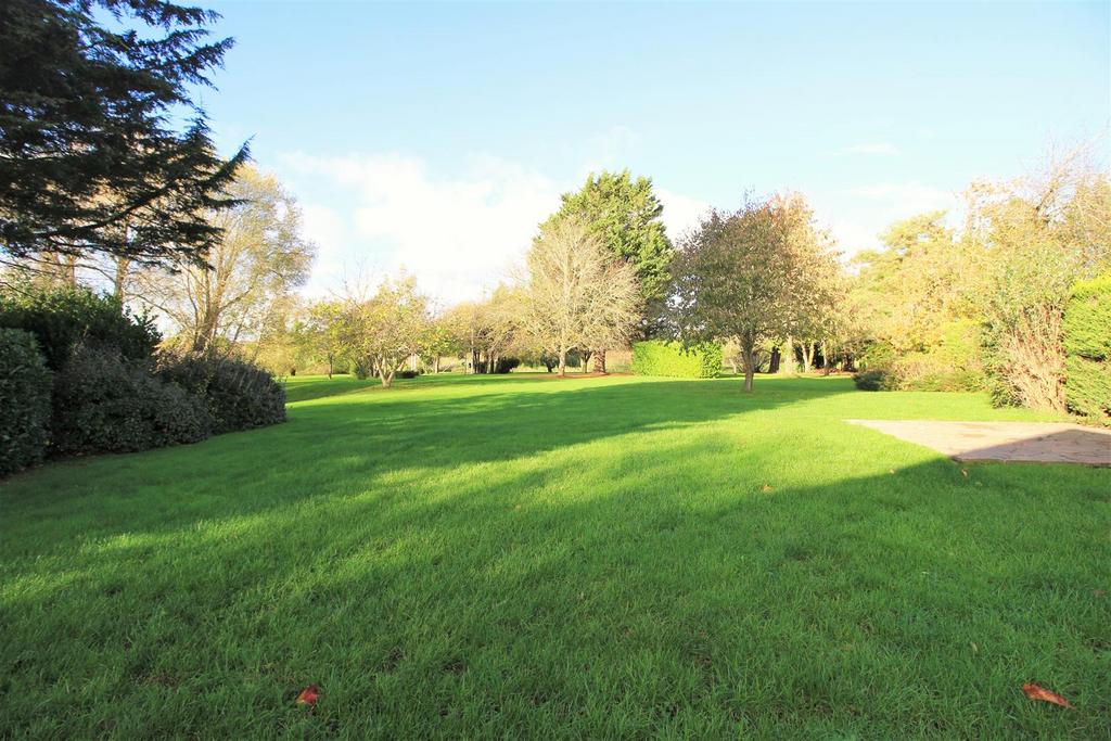 Garden 2.JPG