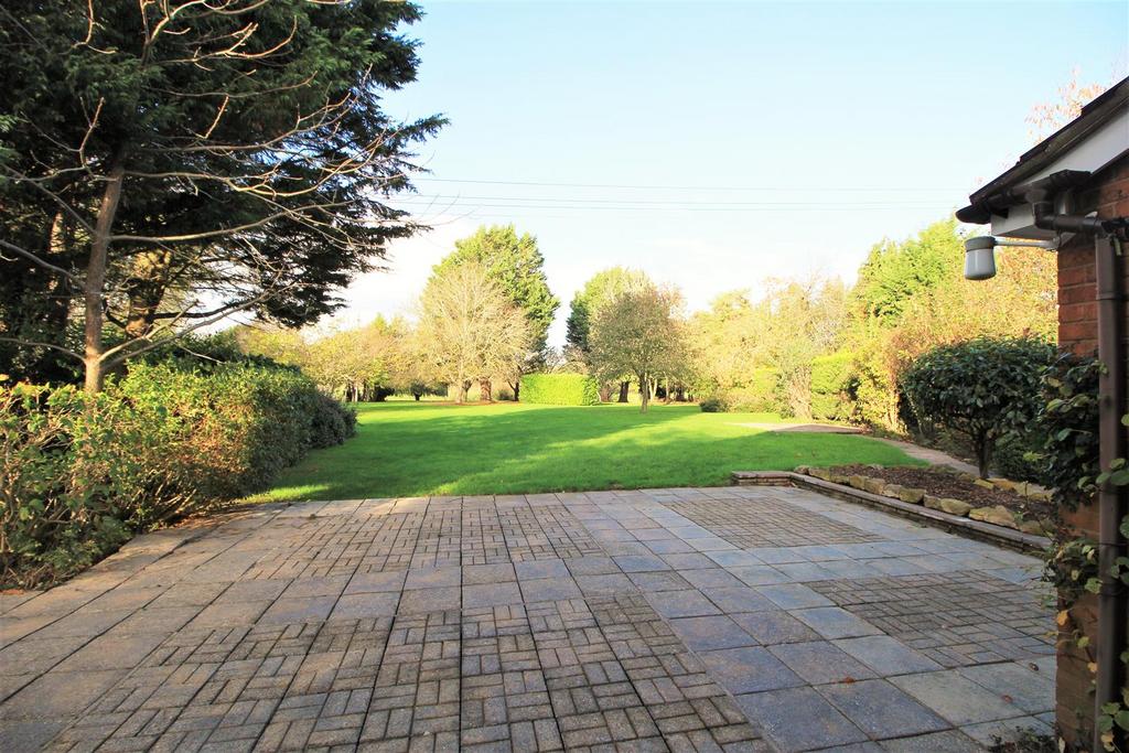 Garden.JPG