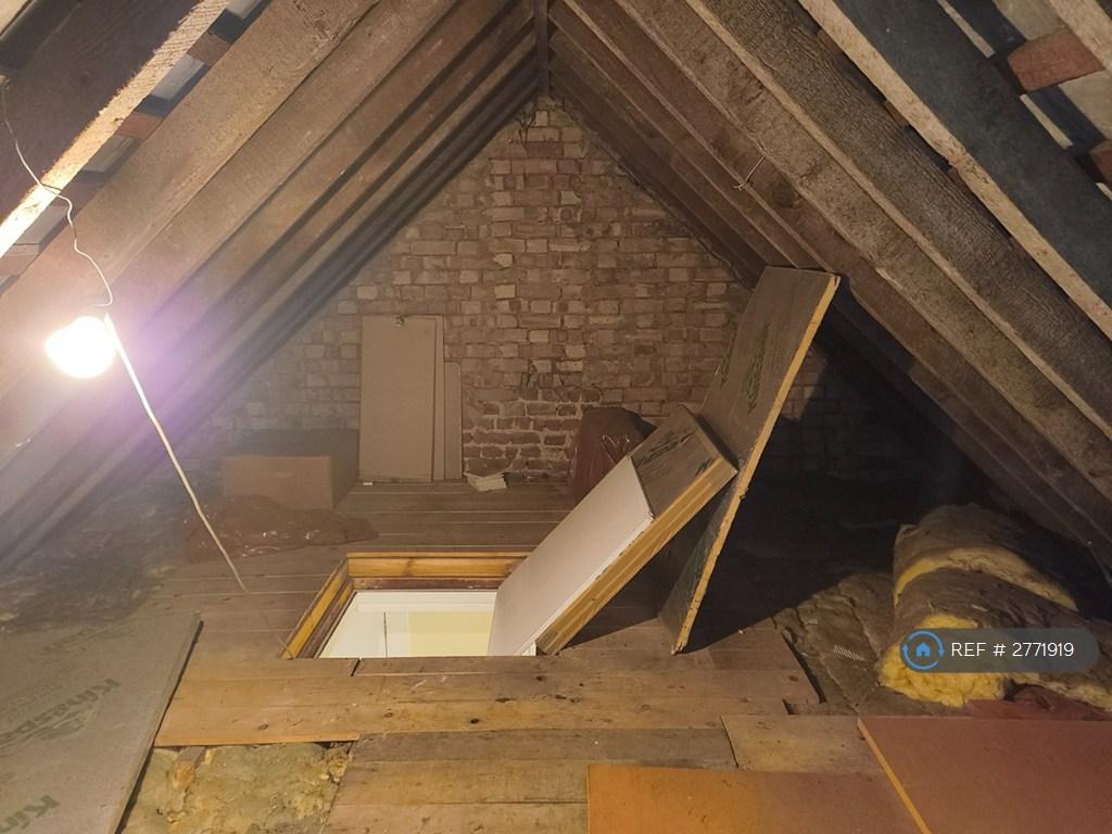 Loft Space (Via Ladder)