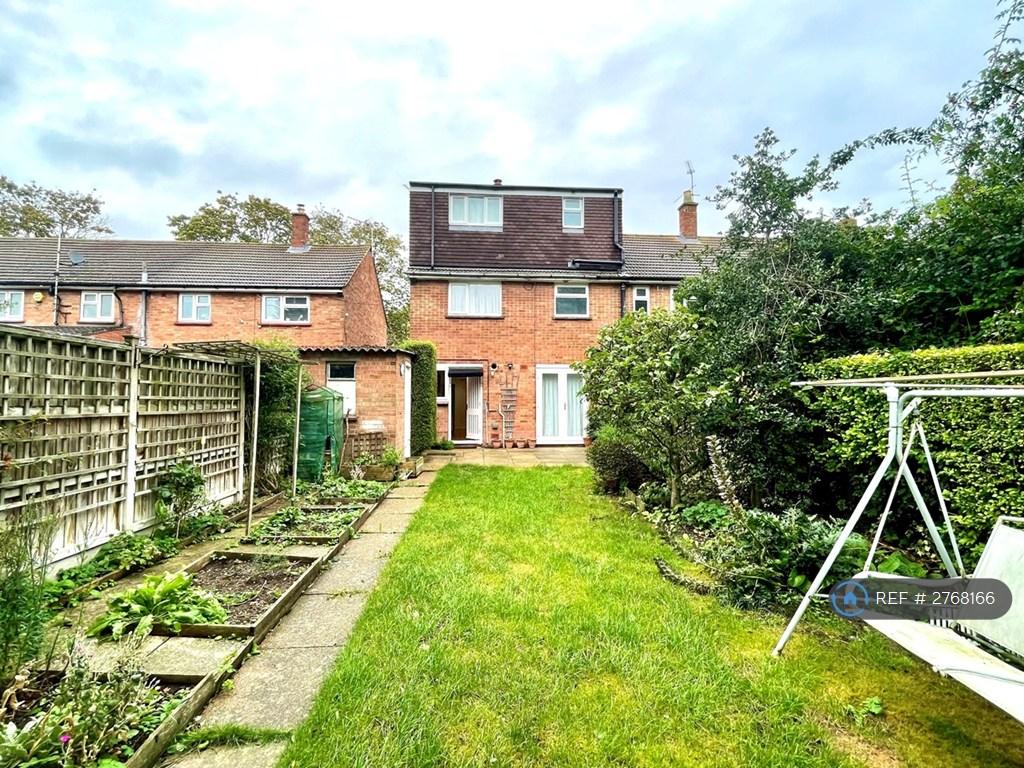 Garden View From Back