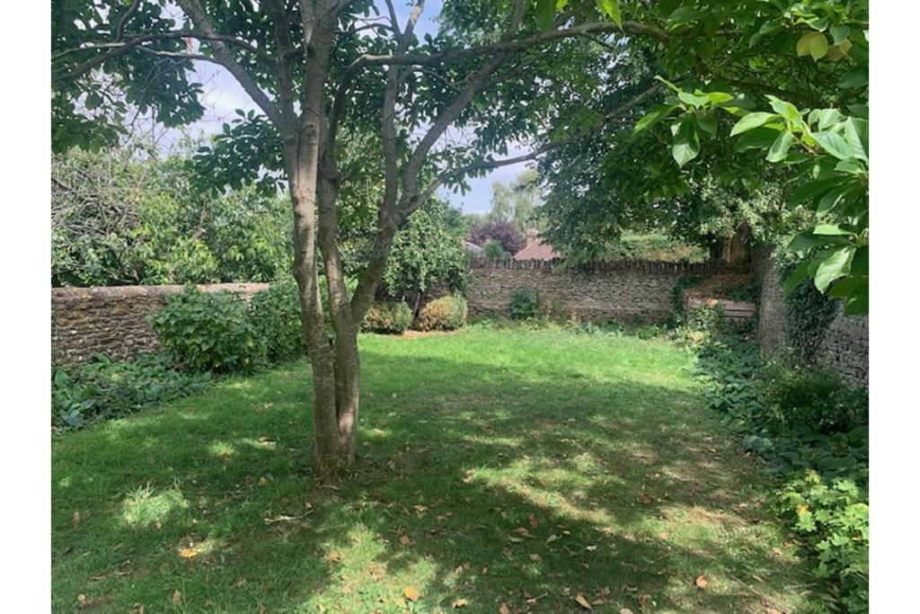 View Of The Property