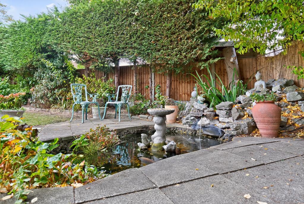 Pond