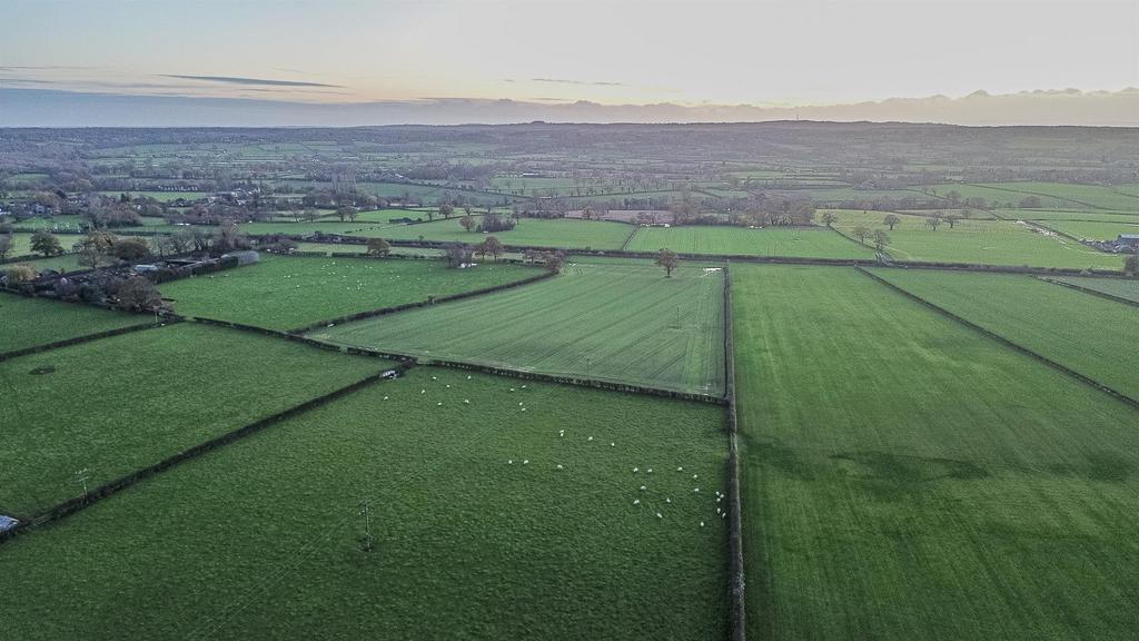 Aerial Shot