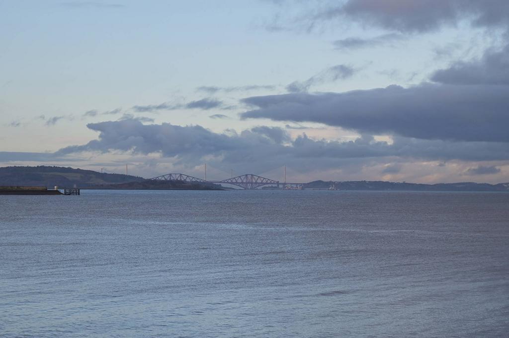 MFL4254630 783.jpg