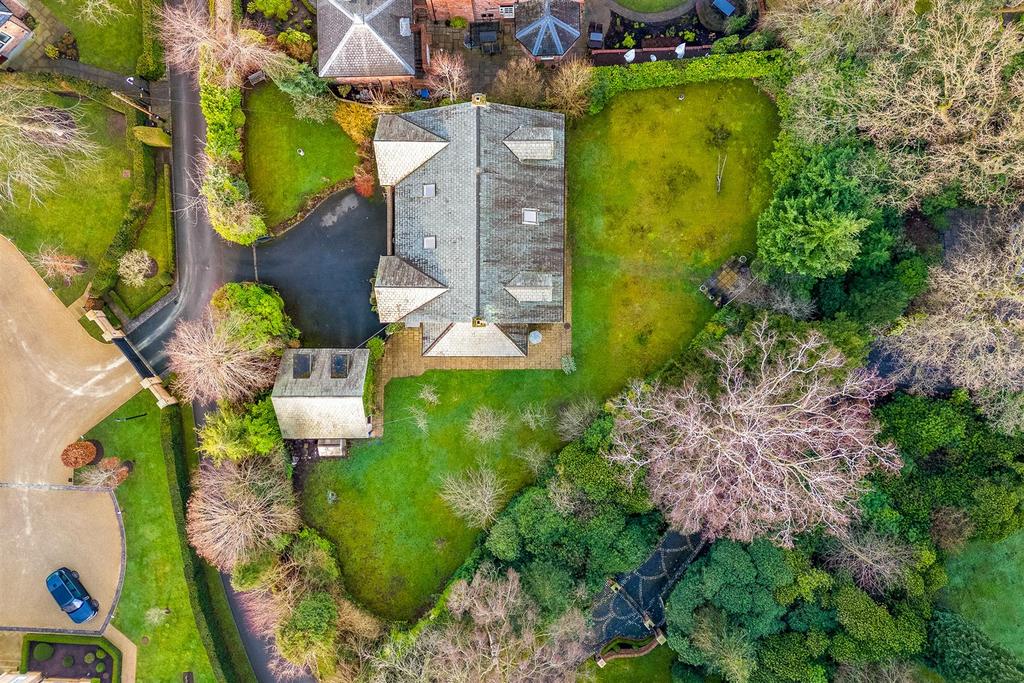 Ariel View
