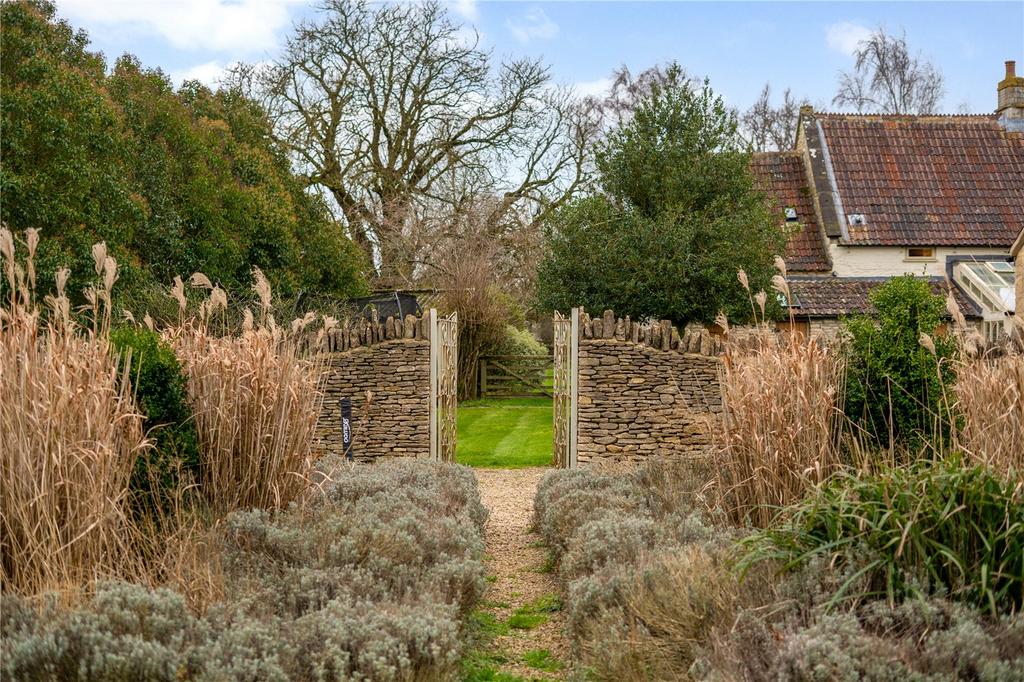 Lavender Pathway