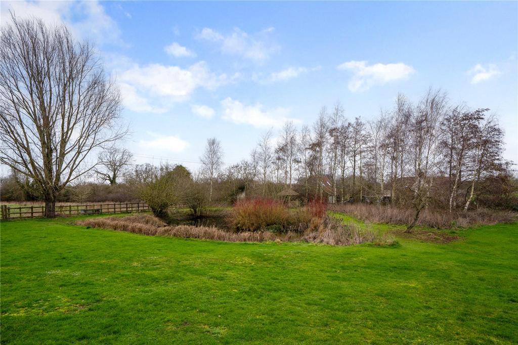 Pond