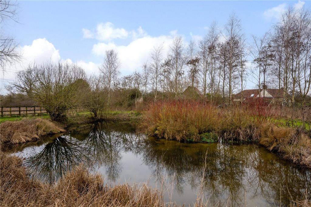 Pond