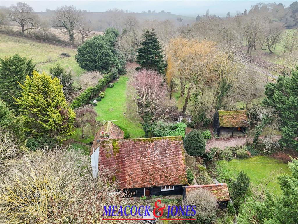 DJI 20260126124246 0954 D copy.jpg